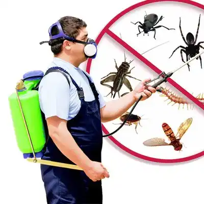 pest control Burwell